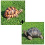 Decorazioni da Giardino e Laghetto Animali TARTARUGA Media e Testuggine Gigante