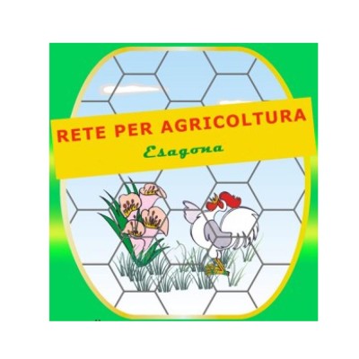 Rete Proland Zincata Esagonale da 38/1.4 mm Altezza 200 cm Rotolo 50 Metri