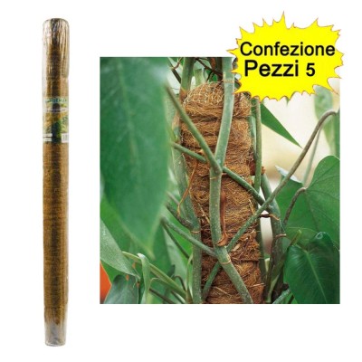 Tutori Muschiati Piante Rampicanti e in Vaso 5 pezzi 50 mm x Altezza 80 cm