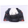 Trasportino Borsa per Cani e Gatti 2 in 1 Borsa & Tappeto Max 5 Kg Transformer Rota