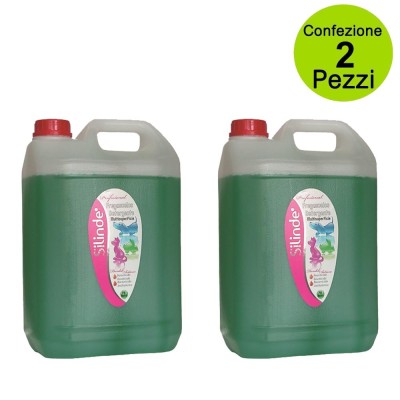 Multipack da 2 pz Silinde Detergente Igienizzante Insetticida e Battericida Pino
