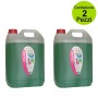 Multipack da 2 pz Silinde Detergente Igienizzante Insetticida e Battericida Pino