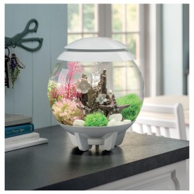 Oase Acquario Luminoso Biorb Halo 15 Litri Colore Bianco con Luci a Led Colorati 