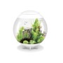 Oase Acquario Luminoso Biorb Halo 60 Litri Colore Bianco con Luci a Led Bianchi