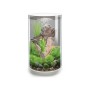 Oase Acquario Luminoso Biorb Tube 30 Litri Colore Bianco con Luci a Led Bianchi