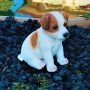 Decorazione in Resina Cane Jack Russel H 18 Cm Giardino e Laghetto Magic