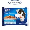 Purina Felix Le Ghiottonerie Umido Gatto Salmone & Tonno 10 Confezioni da 4 Buste da 100 Grammi