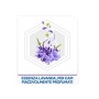 Raid Tarme Gel Antitarme per Vestiti Profumazione Lavanda 6 Confezioni da 2 Esche