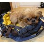 Zu e Lu Borsa per Cani 3 in 1 Shelly Small Cuccia Cuscino Max 6 Kg