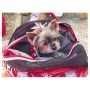 Zu e Lu Borsa per Cani 2 in 1 Ligi Small Max 5 Kg 43x18xH25 Cm