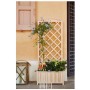 Fioriera in Legno FSC Naturale con Traliccio Slim per Terrazzo Giardino Balcone Verdemax 