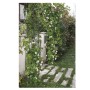 Arco per Giardino Decorativo in Ferro Verde per Rose Rampicanti Pezzi 2