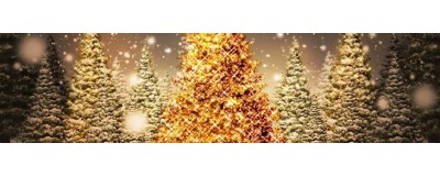 Alberi